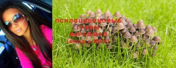 не бодяженный Горнозаводск