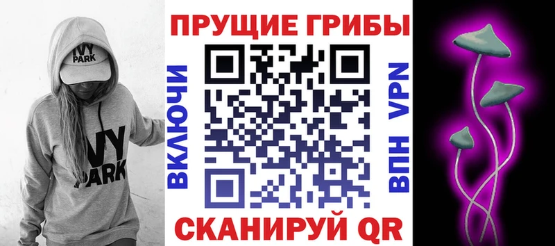 Псилоцибиновые грибы Psilocybine cubensis  закладки  Октябрьский 